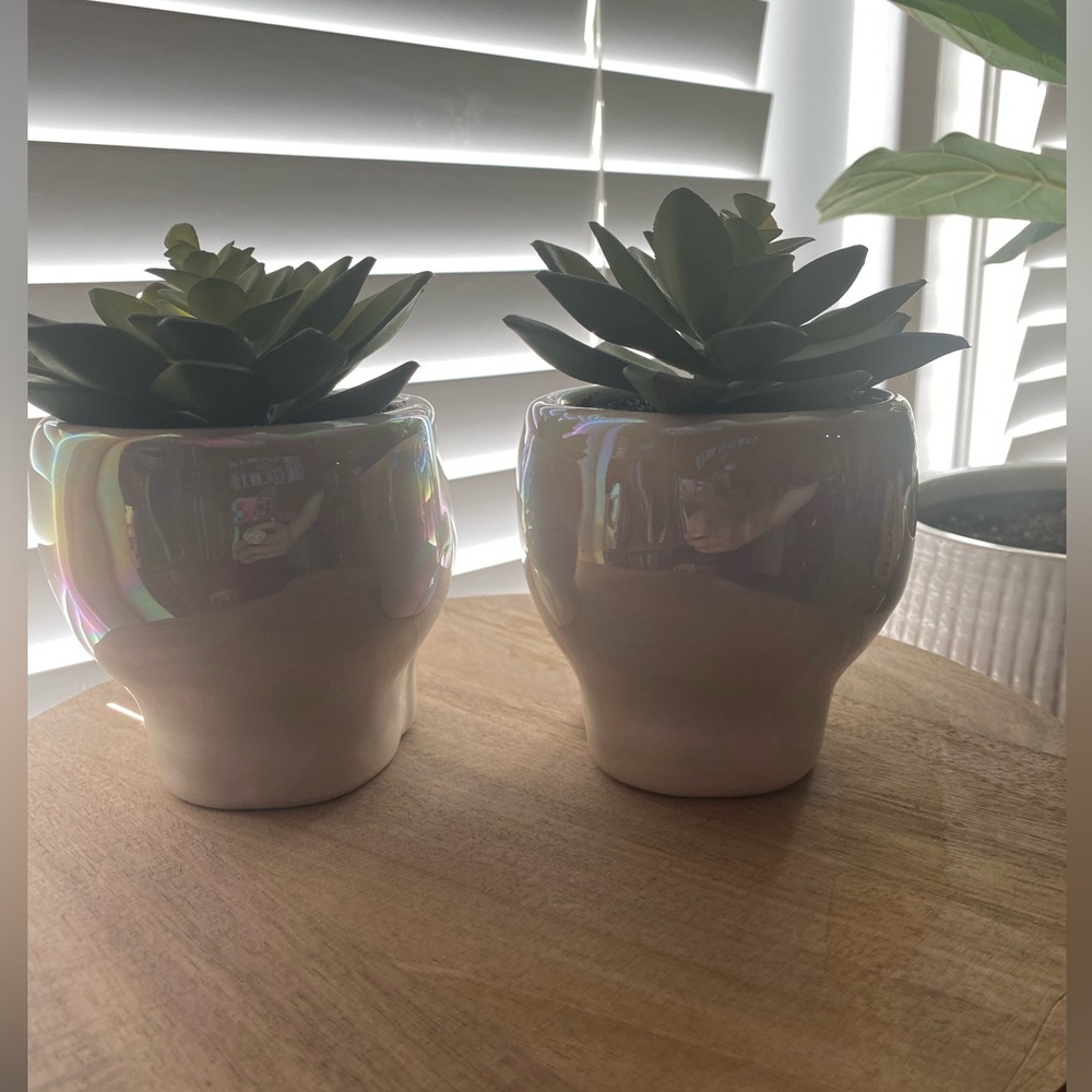 Iridescent Skull Planters with Faux Succulents Halloween Decor - Picture 4 of 8
